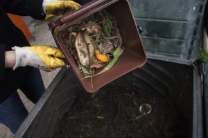 COMPOSTAJE DOMESTICO014